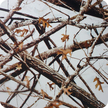 Charger l'image dans la galerie, HCA-145 lámina de hidroimpresión camuflaje realtree