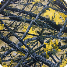 Carregar imagem no visualizador da galeria, HCA-150 Lámina Hidroimpresión Camuflaje
