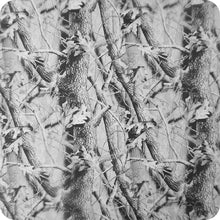 Charger l'image dans la galerie, HCA-151 <tc>Film hydrographique</tc> Camouflage