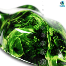 Load image into Gallery viewer, HLC-069 Lámina hidroimpresión llamas y calaveras