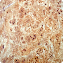 Charger l'image dans la galerie, HMR-156 <tc>Film hydrographique</tc> bois de racine