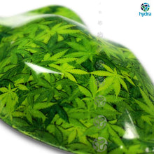Lade das Bild in den Galerie-Viewer, HOT-058 Lámina hidroimpresión marihuana