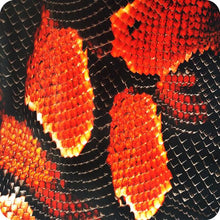 Cargar imagen en el visor de la galería, HPA-003 Lámina hidroimpresión piel de serpiente