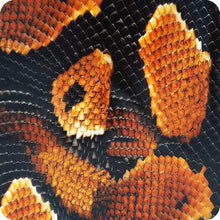 Cargar imagen en el visor de la galería, lámina hidroimpresión serpiente