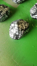 Cargar imagen en el visor de la galería, HPA-009 Lámina de Water Transfer Printing piel de serpiente