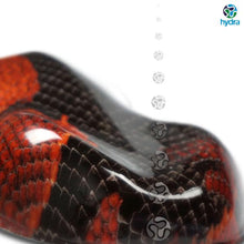 Cargar imagen en el visor de la galería, HPA-003 Lámina hidroimpresión piel de serpiente