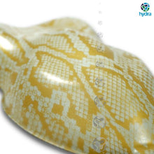 Load image into Gallery viewer, HPA-014 Lámina hidroimpresión piel de serpiente