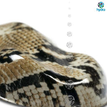 Cargar imagen en el visor de la galería, HPA-066 Lámina hidroimpresión piel de serpiente