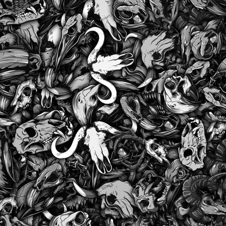 Lámina de Hidroimpresión calaveras de animales 4