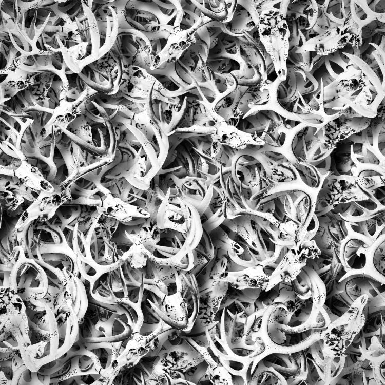 Lámina de Hidroimpresión calaveras de animales 12