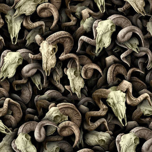 Lámina de Hidroimpresión calaveras de animales 22