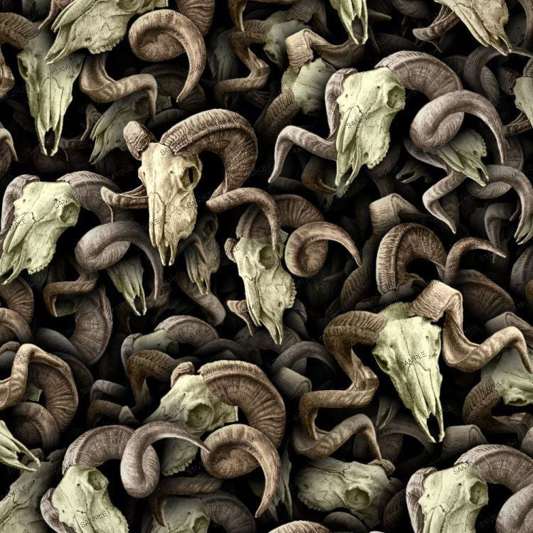 Lámina de Hidroimpresión calaveras de animales 22
