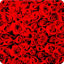 Load image into Gallery viewer, HOT-070 Lámina hidroimpresión rosas
