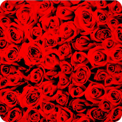HOT-070 Lámina hidroimpresión rosas