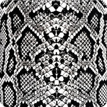 Load image into Gallery viewer, HPA-009 Lámina hidroimpresión piel de serpiente
