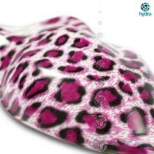 Load image into Gallery viewer, HPA-008 Lámina hidroimpresión piel de girafa rosa
