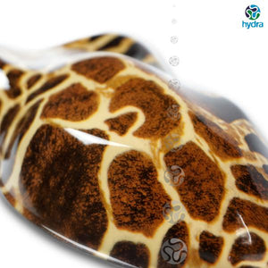 HPA-062 Lámina hidroimpresión piel de girafa